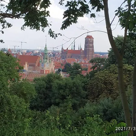 アパート Przy Parku Srodmiescie グダニスク