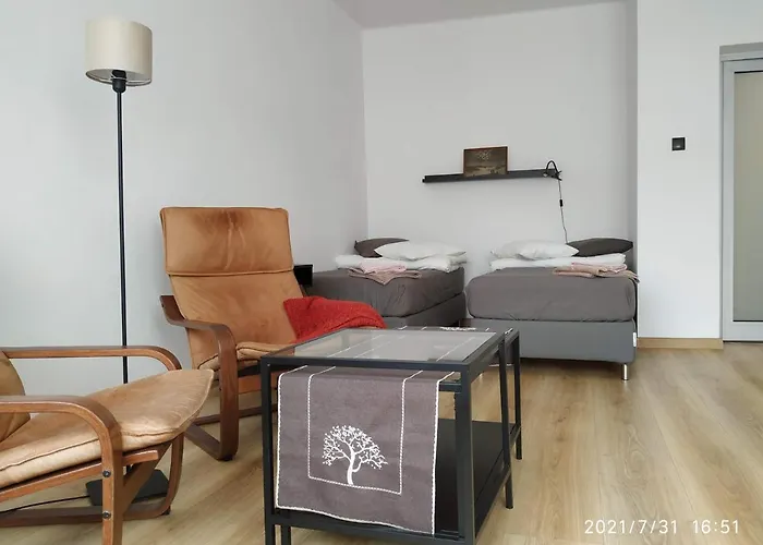 Przy Parku Srodmiescie Appartamento