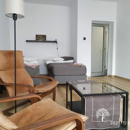 Przy Parku Srodmiescie Danzig